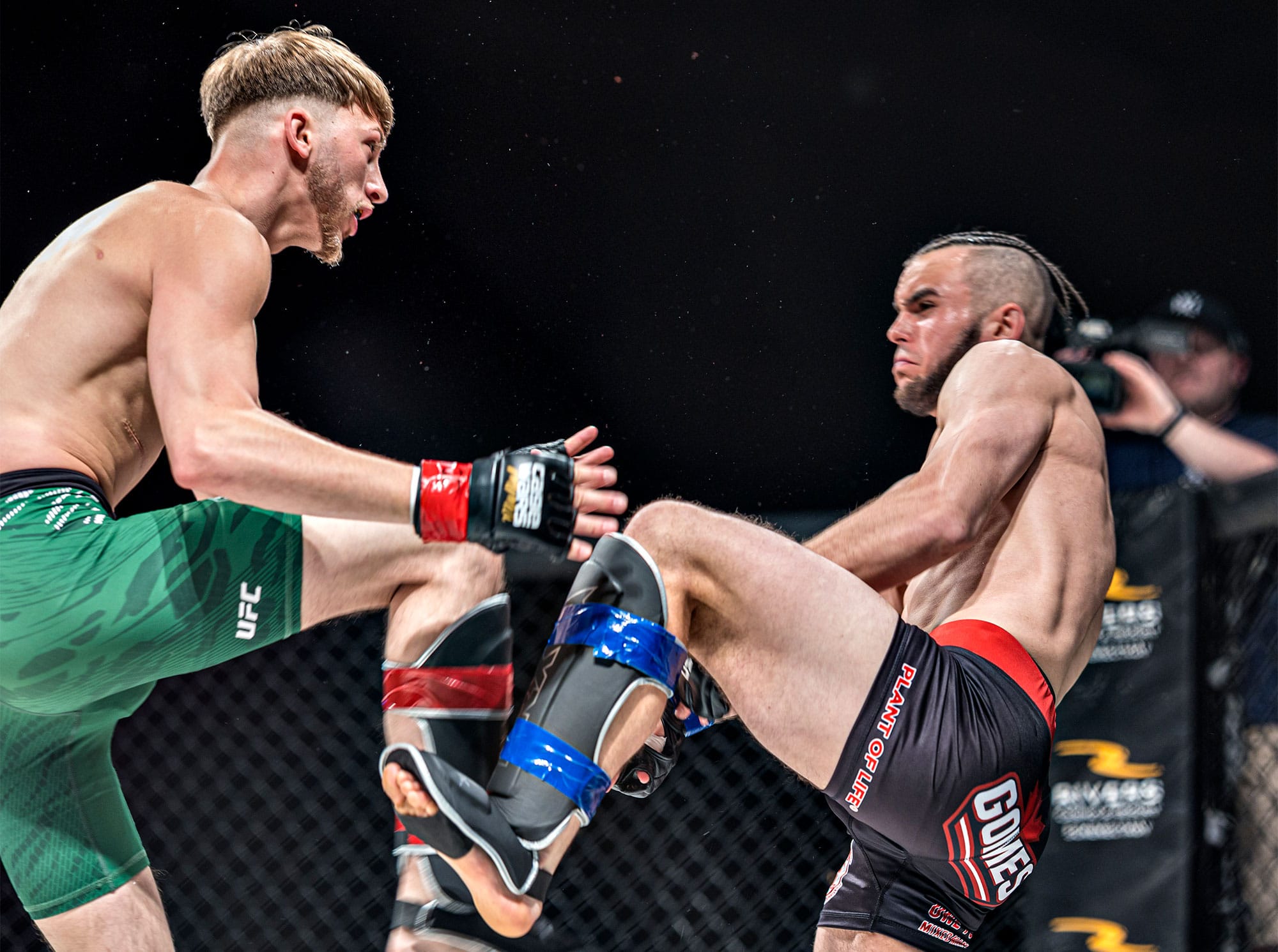Anthony Kelly vs Michael Gomes
