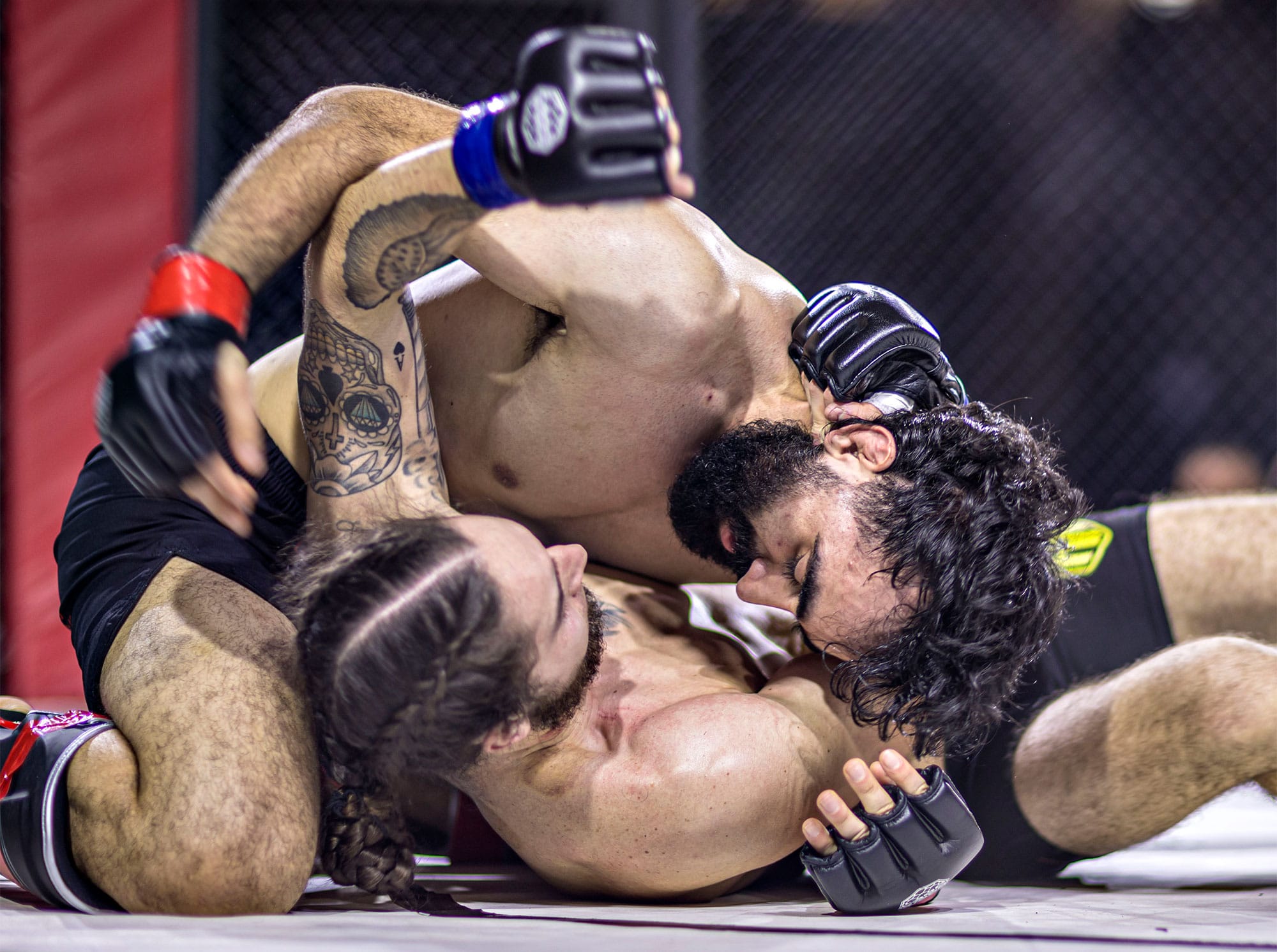 Taha Sevincer vs Fabricio Berrun